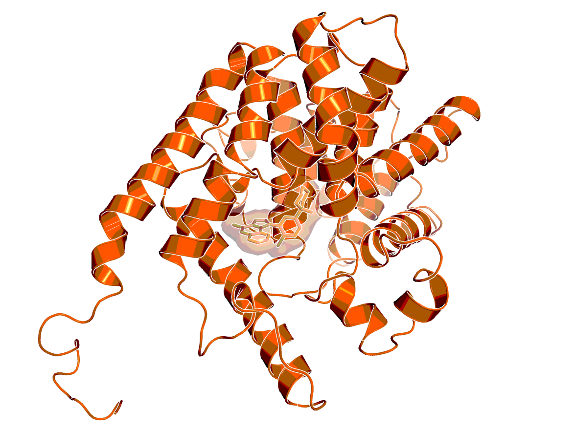 3D image of PDE2 inhibitor - BI-1960