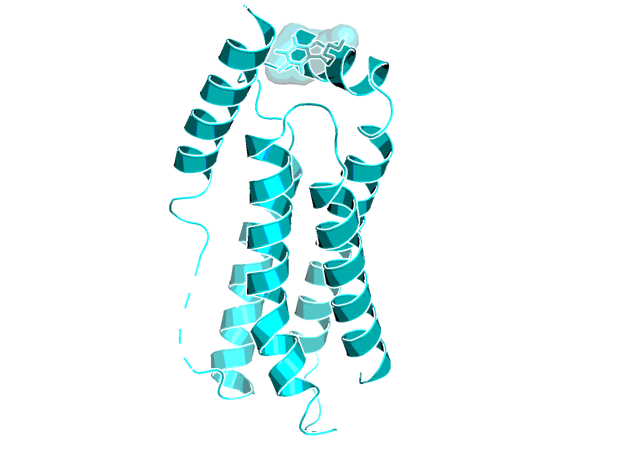 3D image of MLKL inhibitor - BI-8925
