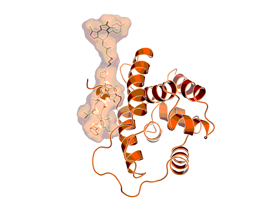 3D image of Bacterial PROTAC | BI-8255