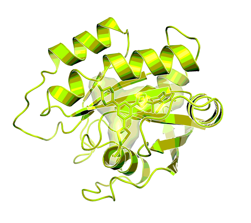 3D image of KRAS G12C Inhibitor | BI-0474 