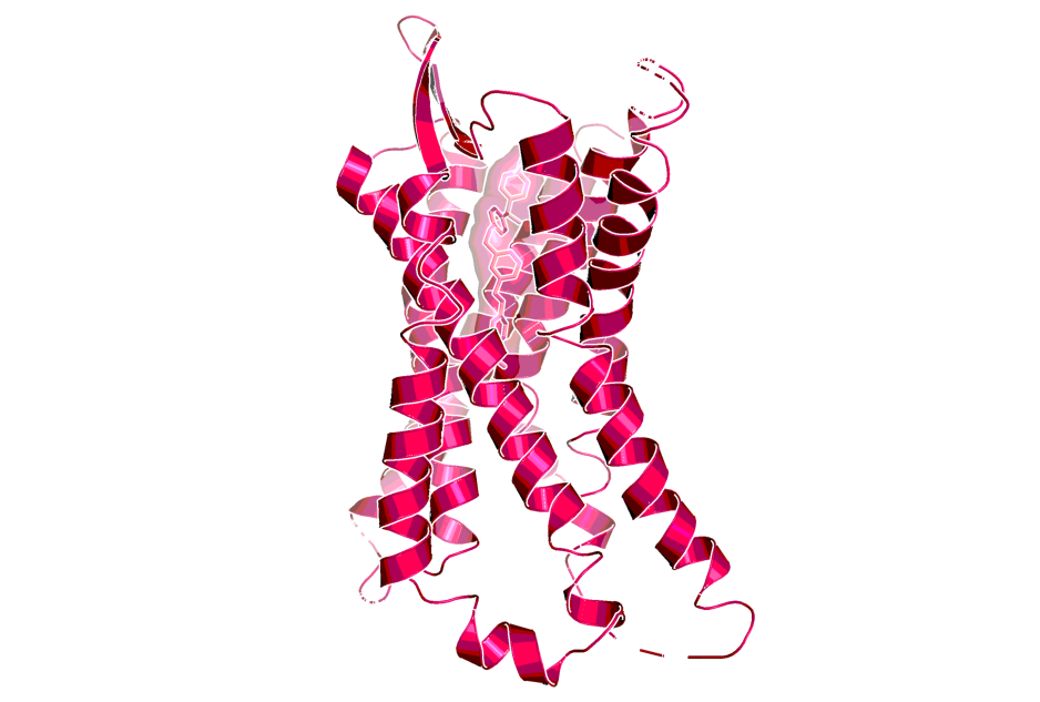 Crystal structure of LTB4 receptor with BIIL 260