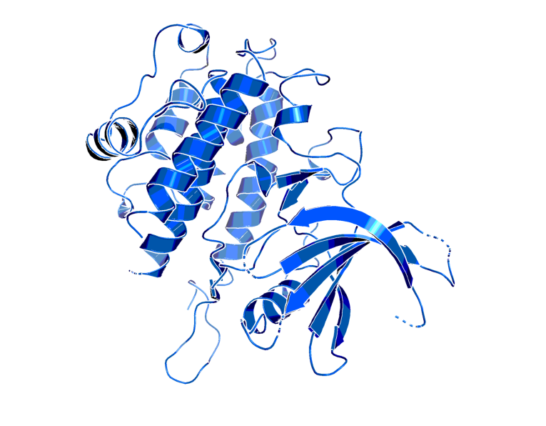 Structure of the Human Ribosomal protein S6 kinase (PDB Code: 2WKN).