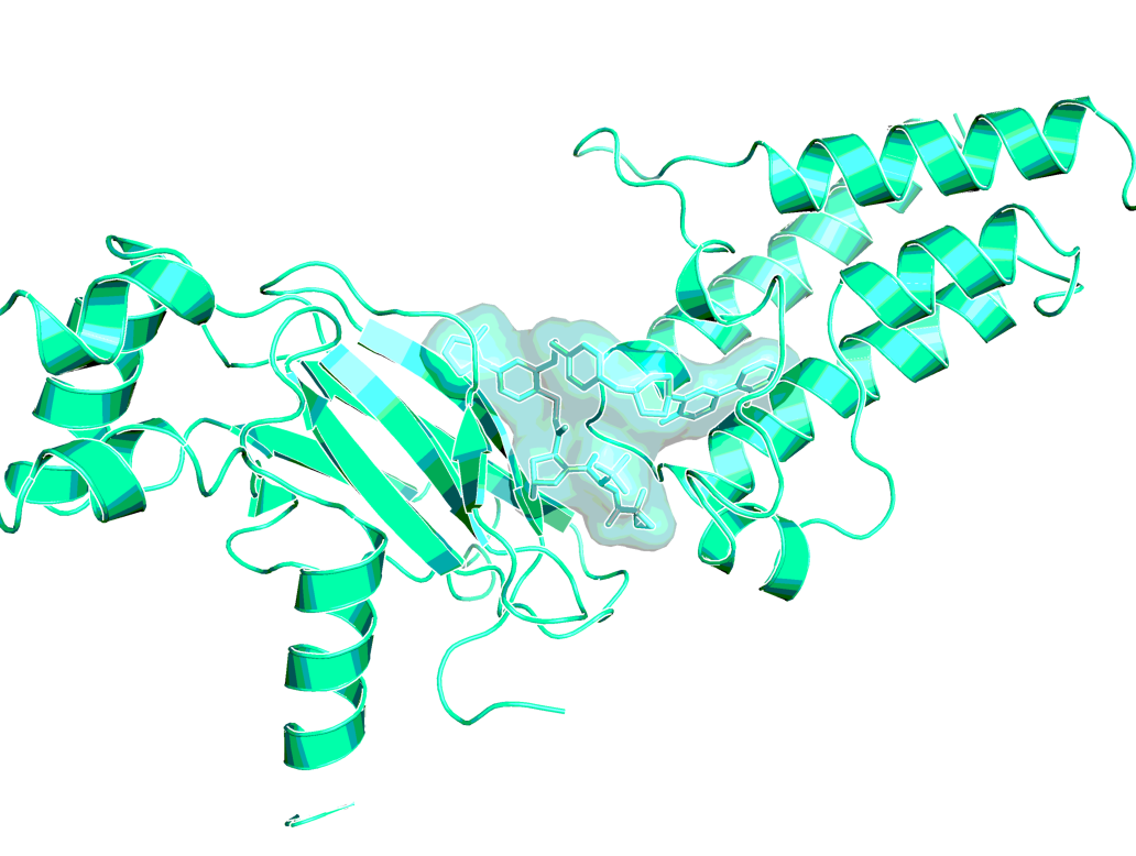 x-ray of close analog BI-2926 (PDB 7Z76) of ACBI2 forming a ternary complex between SMARCA2 bromodomain and VHL