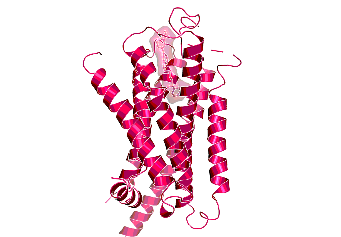 X-ray structure of the dog beta-3 adrenergic receptor with solabegron