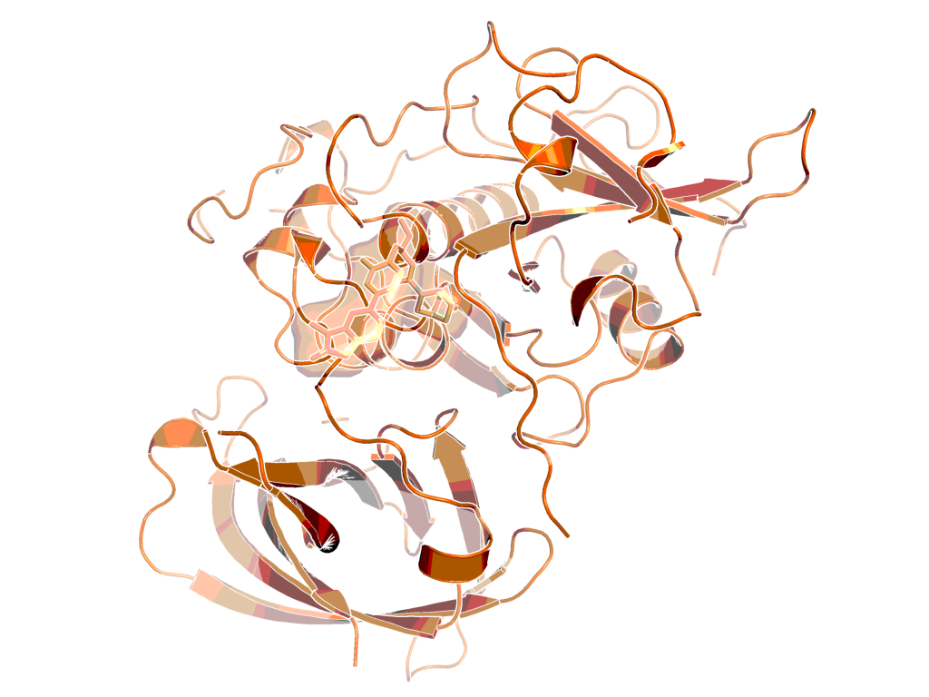 Cathepsin C molecules | News | opnMe | Boehringer Ingelheim