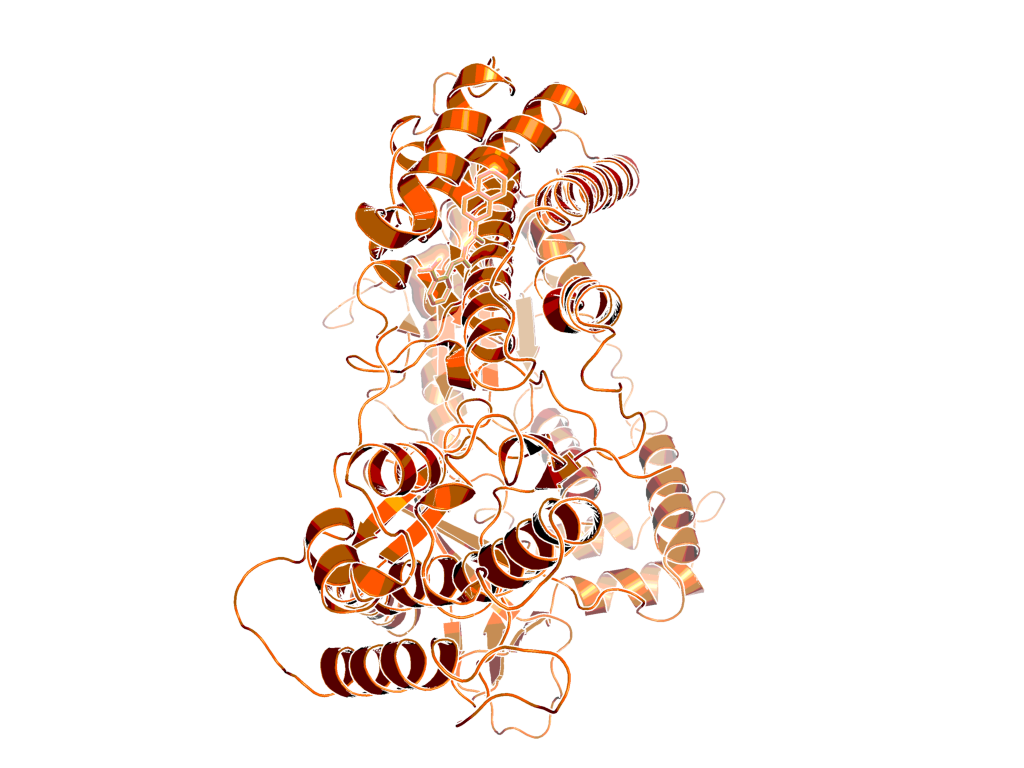 3-D structure of telomerase